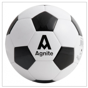 安格耐特 F1205 4号PVC机缝足球（单位：个） (黑+白)